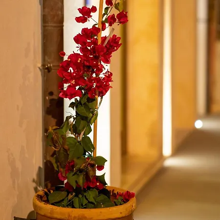 Casa Vossia *